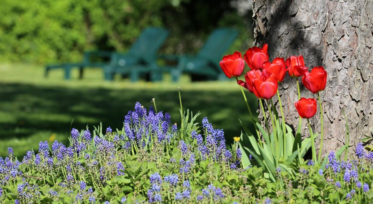 Le Bonnet De Nuit Bed & Breakfast Chalmoux Luaran gambar